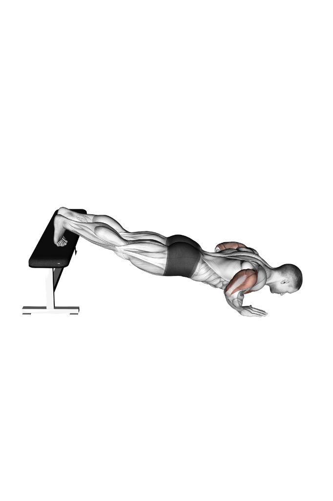 Decline push up