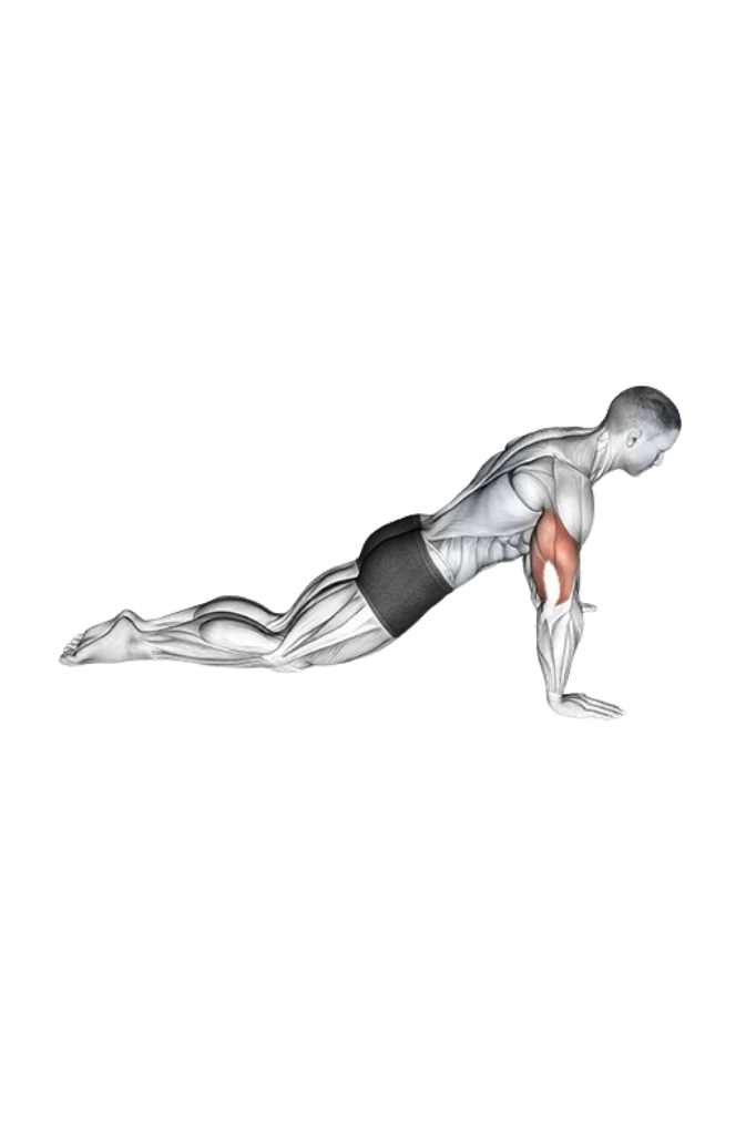 Kneeling push up