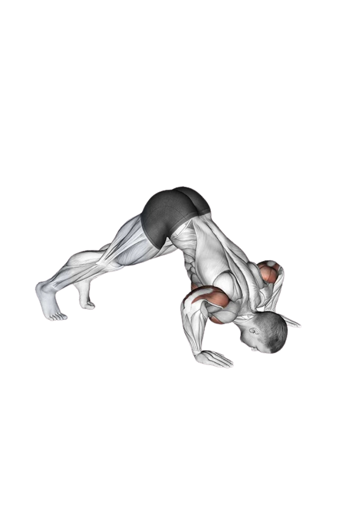Pike push up