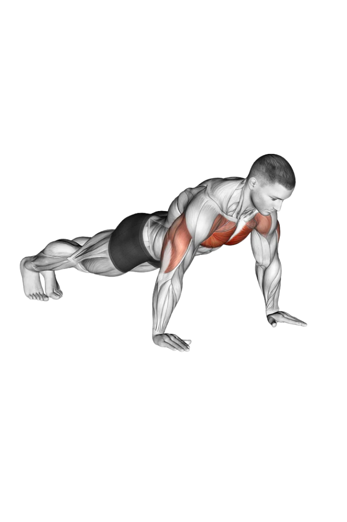 Regular push up