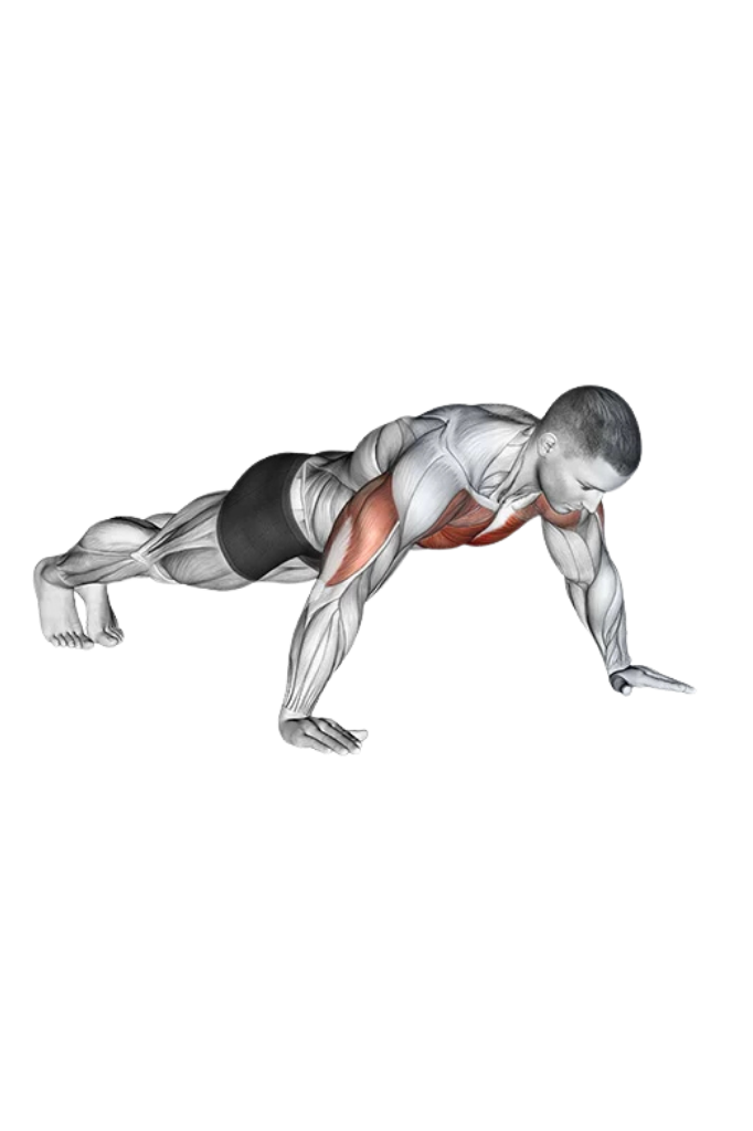 Wide grip push up